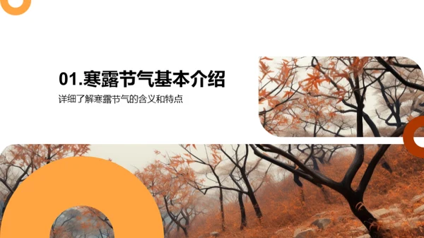 寒露节气营销探秘