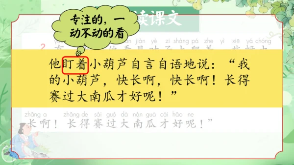 14.《我要的是葫芦》第2课时 课件
