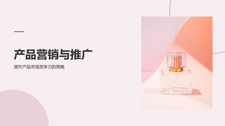 棕色摄影风通用行业产品介绍PPT模板