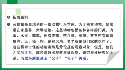 17.动物笑谈（课件）【2023秋人教七上语文高效实用备课】(共33张PPT)