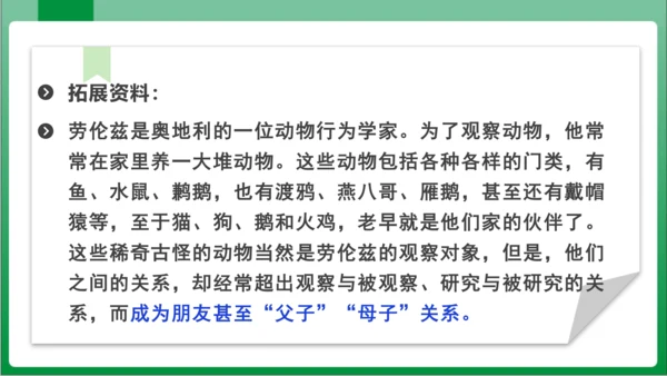 17.动物笑谈（课件）【2023秋人教七上语文高效实用备课】(共33张PPT)