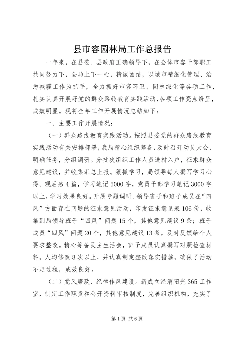 县市容园林局工作总报告.docx