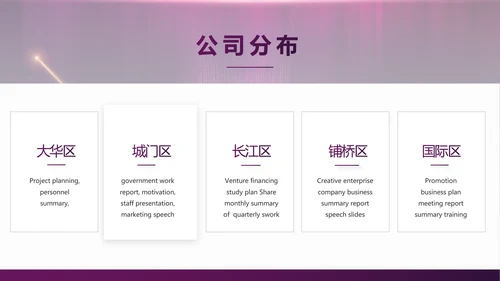 紫色公司品牌发布会策划方案工作总结PPT