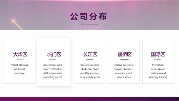 紫色公司品牌发布会策划方案工作总结PPT