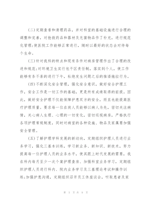 个人述职报告范文.docx