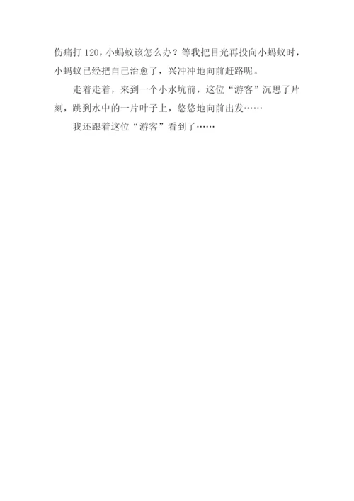 一次奇妙的旅行作文600字.docx