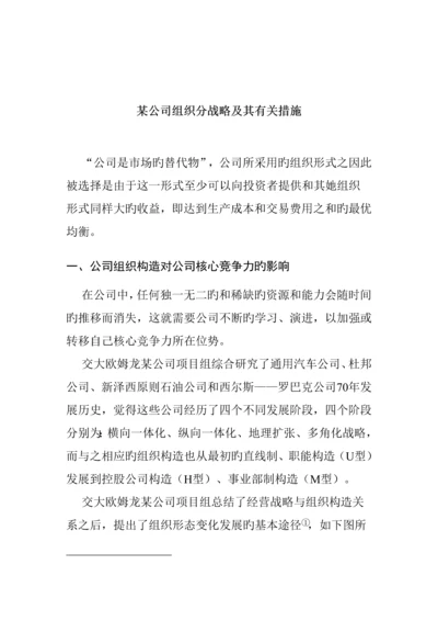 公司组织战略及综合措施管理专题方案.docx