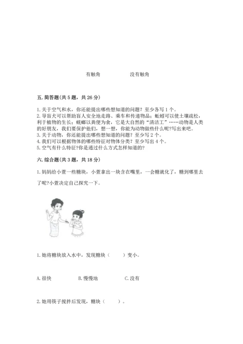 教科版一年级下册科学期末测试卷【达标题】.docx