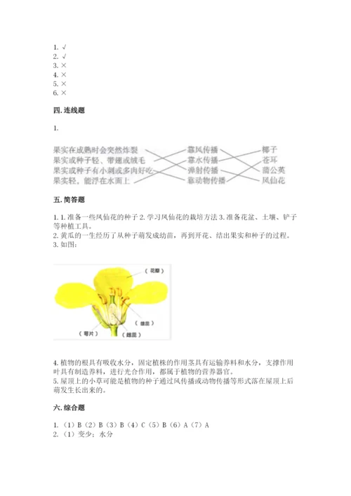 教科版四年级下册科学第一单元《植物的生长变化》测试卷精品（夺冠）.docx