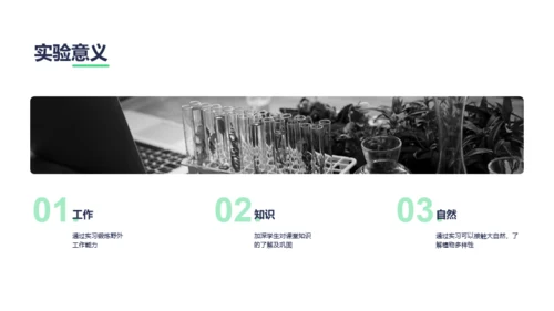 绿色创意植物标本制作实验报告PPT案例