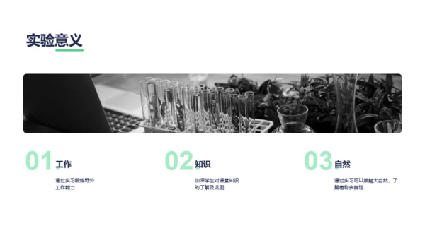 绿色创意植物标本制作实验报告PPT案例