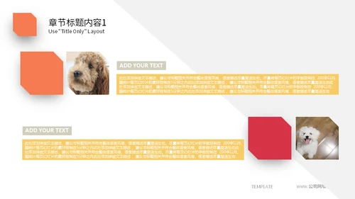 宠物乐园萌宠小狗主题通用PPT模板