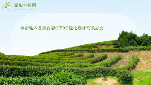绿意新茶上市茶文化介绍通用PPT模板