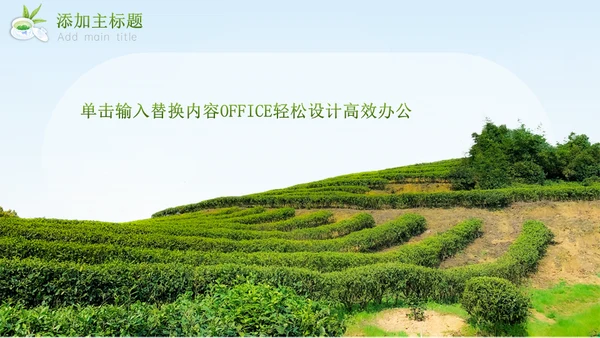 绿意新茶上市茶文化介绍通用PPT模板