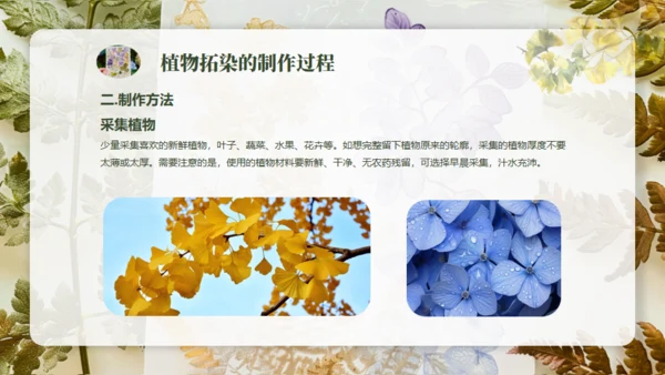 植物拓染非遗传承通用PPT模板