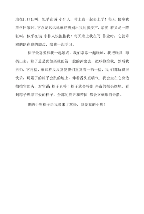 小学四年级我的动物朋友作文400字6篇.docx