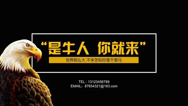 企业招聘寻找千里马通用PPT模板