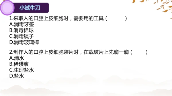 人教版（2024）七年级上册1.2.3动物细胞 课件(共27张PPT)
