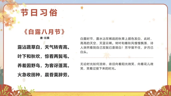 棕色卡通秋天二十四节气之白露带内容PPT模板
