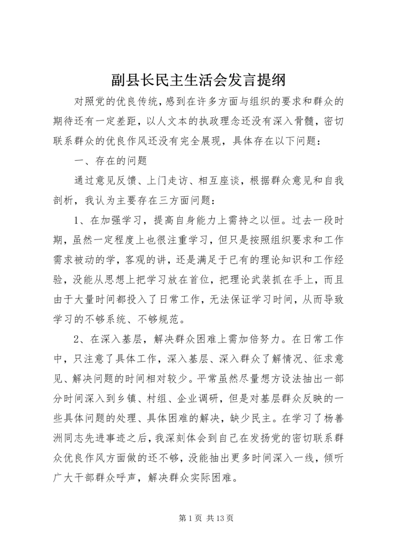 副县长民主生活会发言提纲.docx