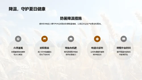 小暑节气与农业指南