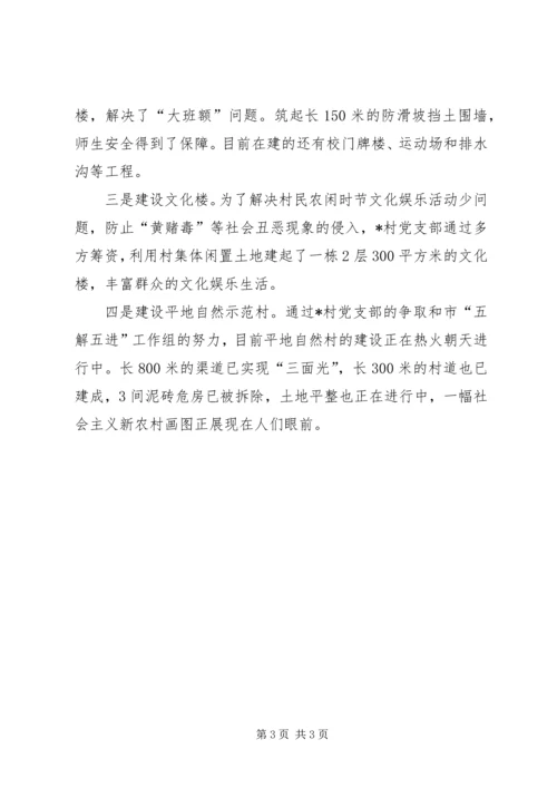 村党支部先进事迹材料 (3).docx