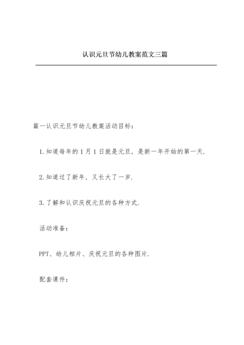 认识元旦节幼儿教案范文三篇.docx