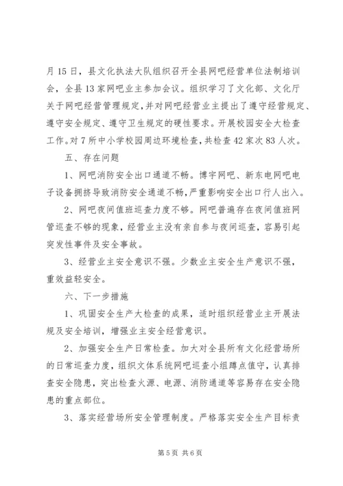 县文广局XX年安全生产自查报告.docx