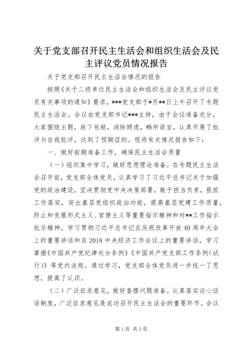 关于党支部召开民主生活会和组织生活会及民主评议党员情况报告.docx