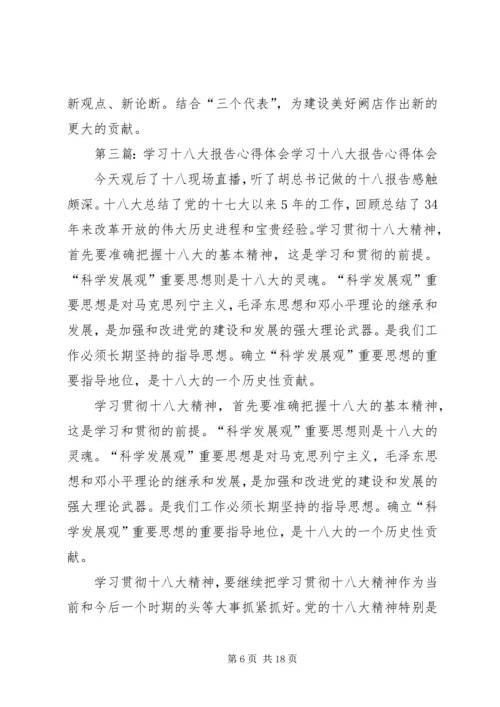 学习十八大报告心得体会(李文明).docx