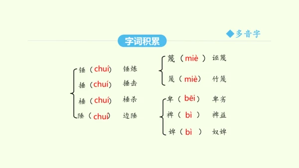第13课 最后一次讲演 统编版语文八年级下册 同步精品课件
