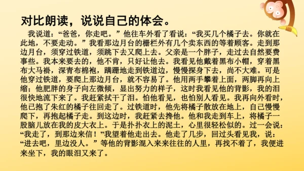 19 父爱之舟   课件