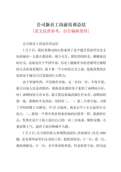 公司新员工岗前培训总结共3页