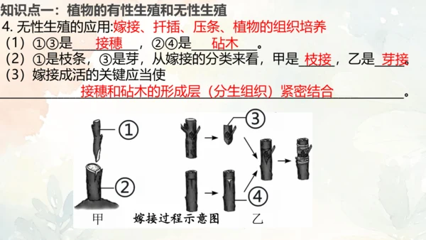 八年级下册第一章综合复习与测试课件(共16张PPT)人教版