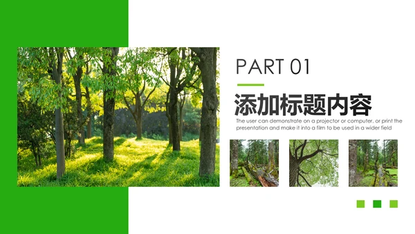 绿色环保森林湿地环境保护生态森林业PPT模板