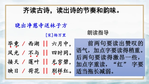 15 《古诗二首》（第一课时）——《晓出净慈寺送林子方》  课件
