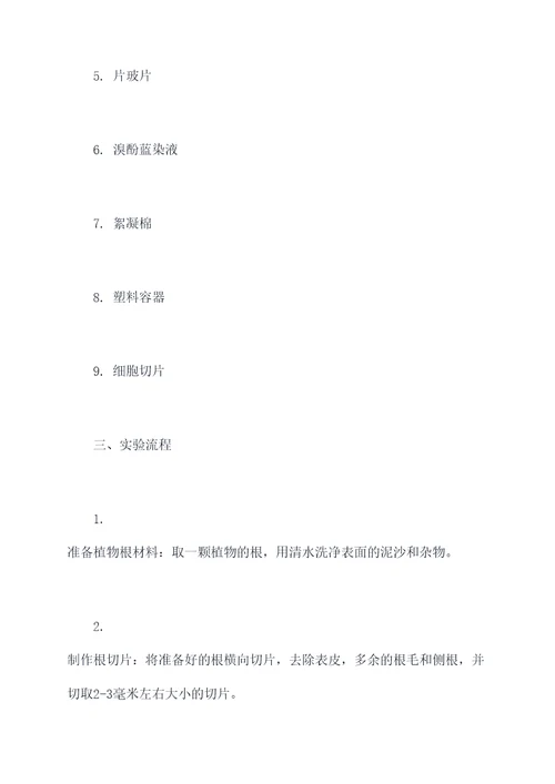 根解剖形态结构实验报告