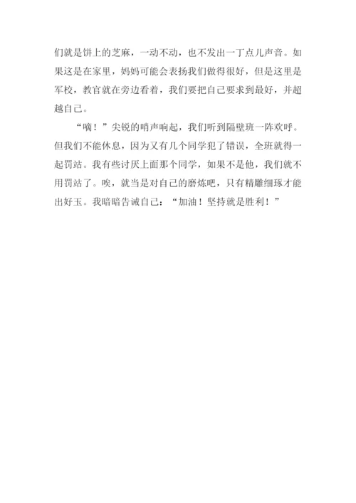 小学生军训作文300字.docx