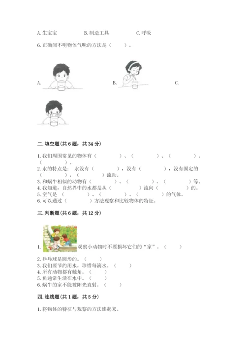 教科版小学科学一年级下册期末测试卷（完整版）.docx