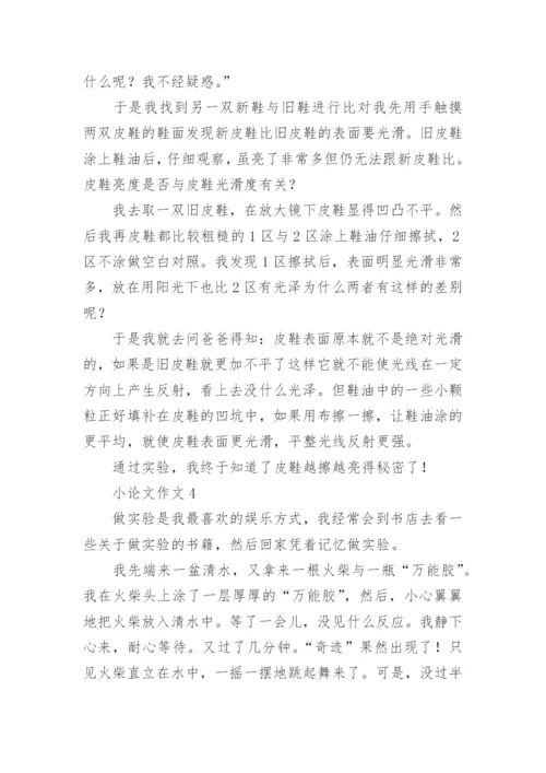 小论文作文精编.docx