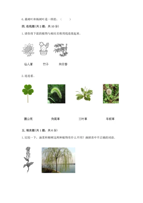 教科版科学一年级上册第一单元《植物》测试卷【名师推荐】.docx