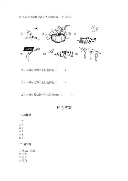 新教科版二年级上册科学期末测试卷夺冠系列