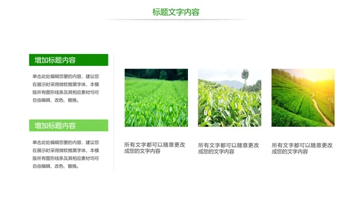 绿色唯美茶园艺术品茶文化茶园PPT模板