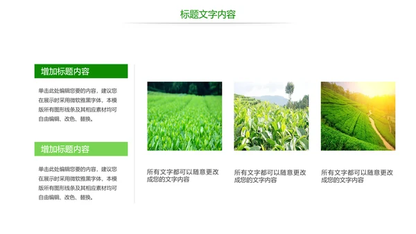 绿色唯美茶园艺术品茶文化茶园PPT模板