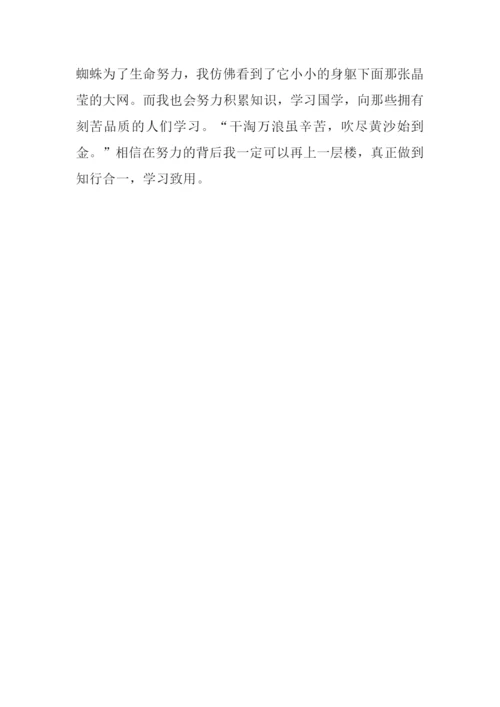 知行合一-学以致用作文.docx