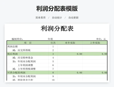 利润分配表模版