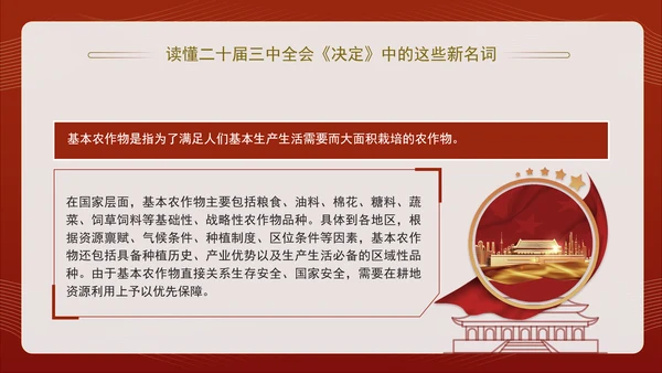 读懂二十届三中全会决定中的这些新名词专题党课PPT课件