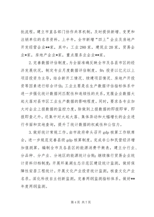 市统计局上半年工作总结及下半年工作计划.docx