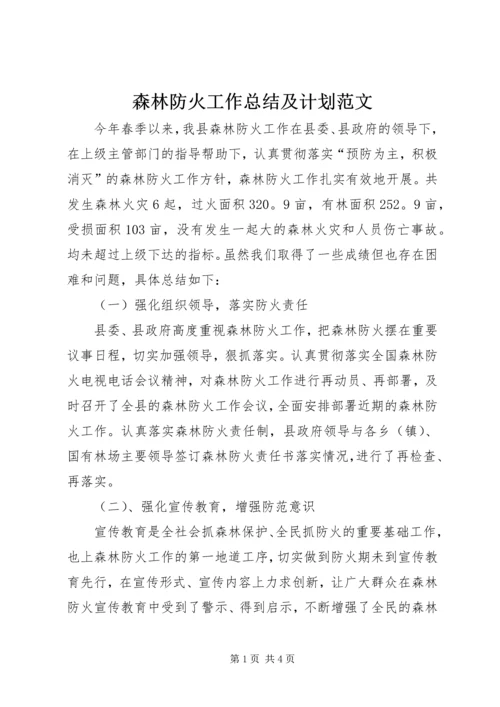 森林防火工作总结及计划范文.docx