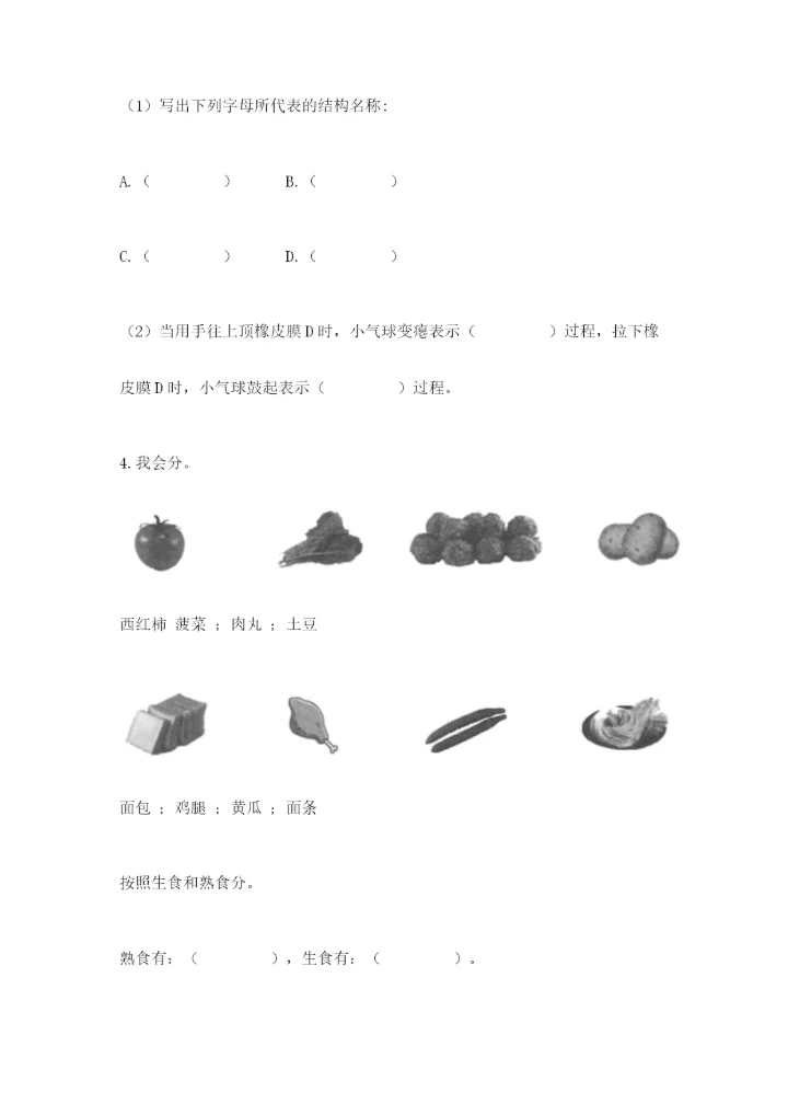 教科版四年级上册科学期末测试卷及解析答案.docx